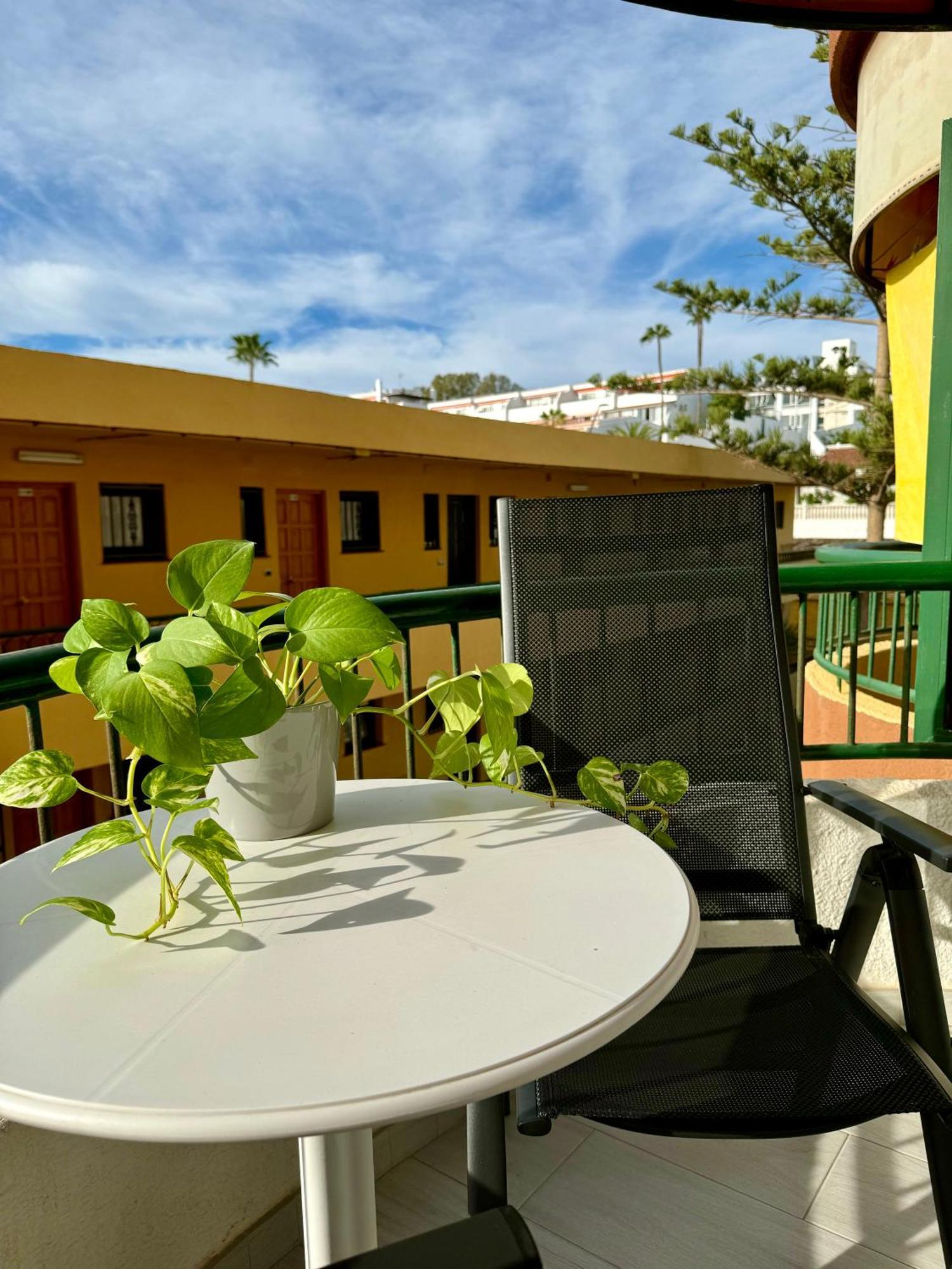 Torres Del Sol Luxury Las Americas 플라야데라스아메리카스 외부 사진
