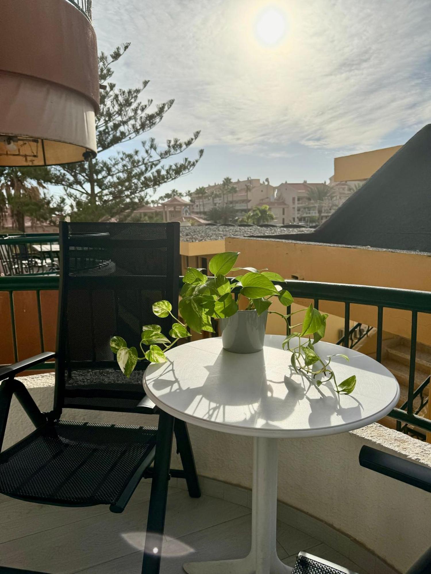Torres Del Sol Luxury Las Americas 플라야데라스아메리카스 외부 사진