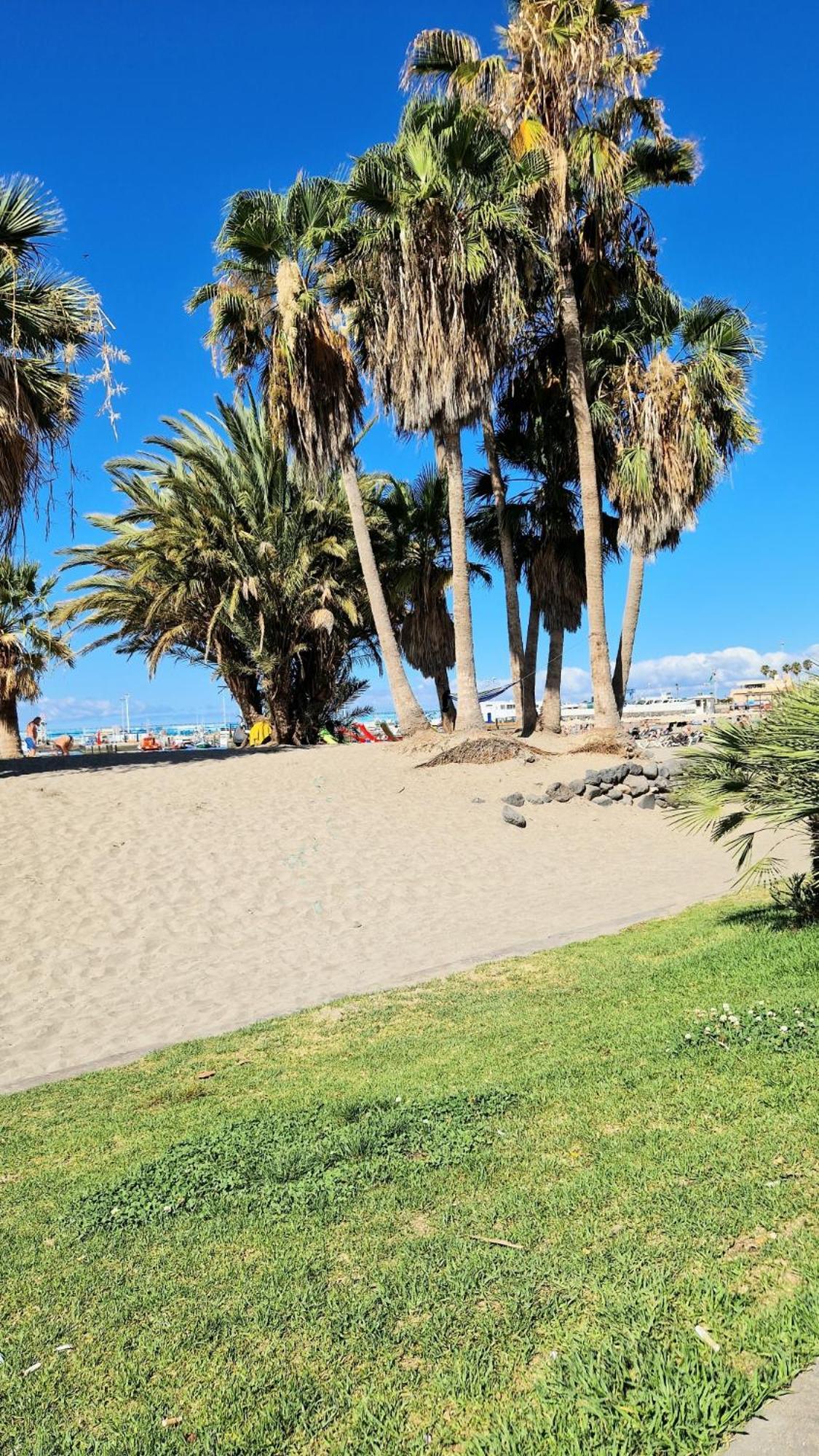 Torres Del Sol Luxury Las Americas 플라야데라스아메리카스 외부 사진