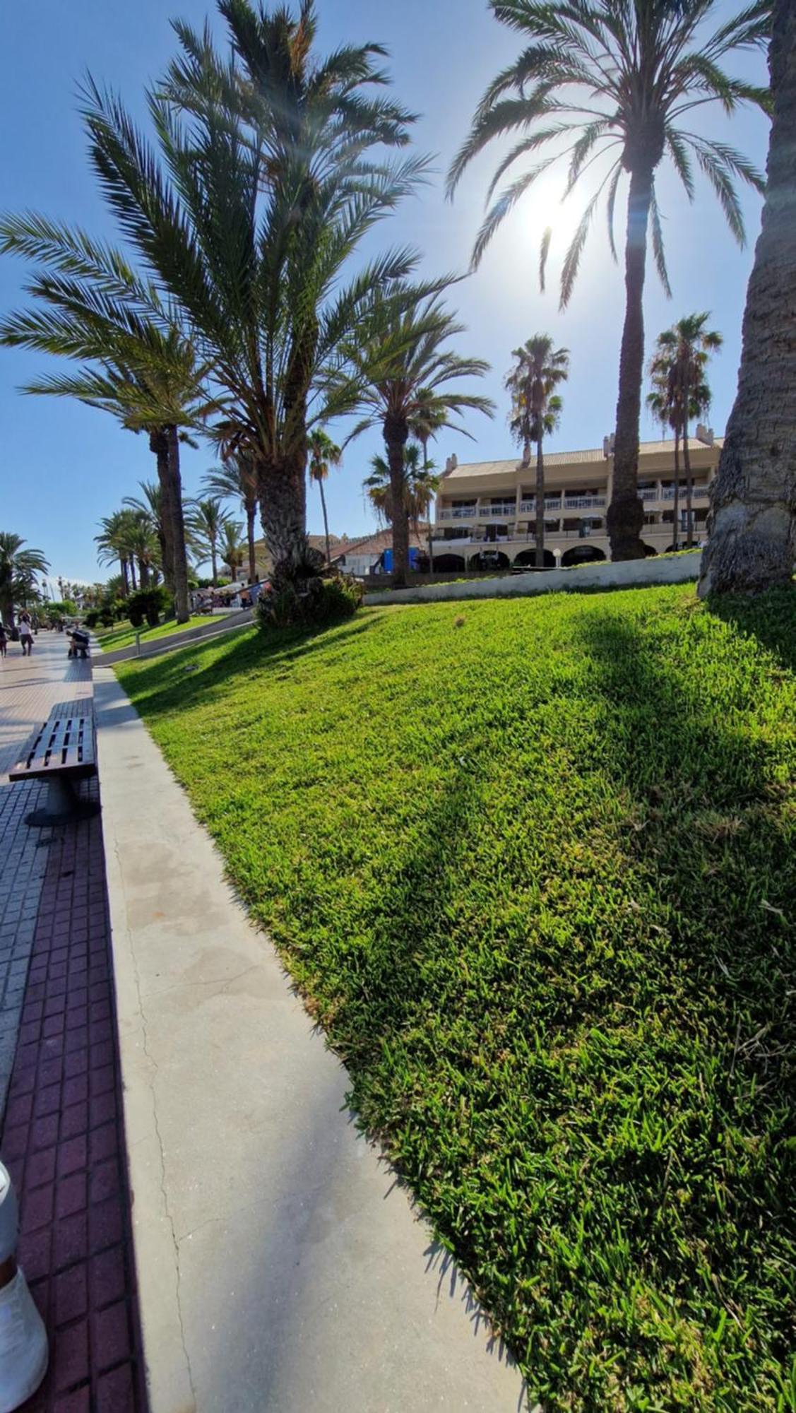 Torres Del Sol Luxury Las Americas 플라야데라스아메리카스 외부 사진